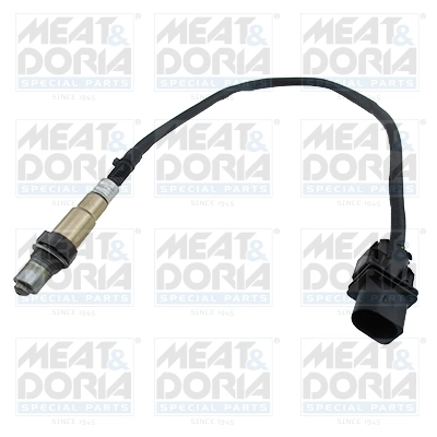 Oxygen Sensor